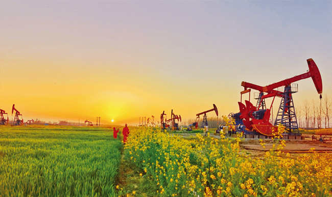 The applications of Quaternary ammonium compounds in oil field