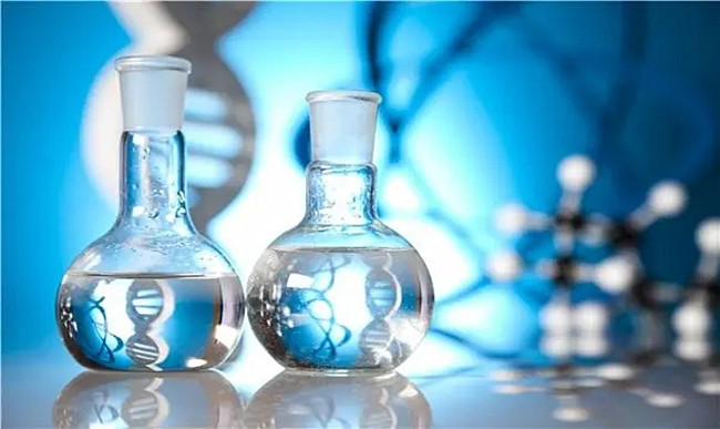 What is the Role of Tetrabutylammonium Iodide in the Synthesis of 1H-imidazole-1-acetic Acid?