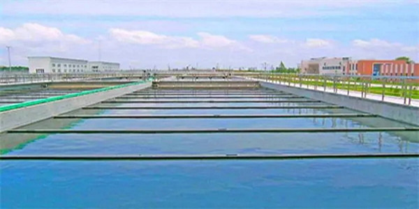 Cetyl trimethyl ammonium bromide