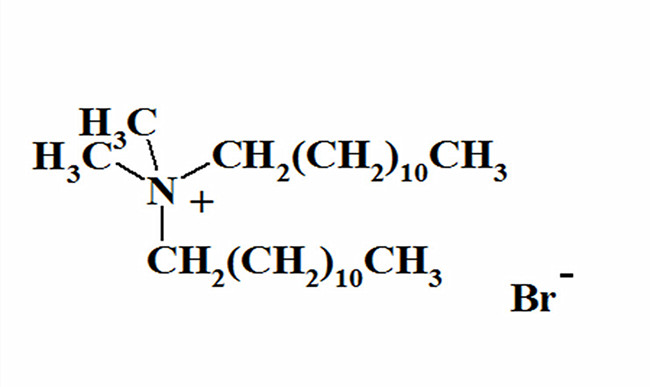 Effect of Didodecyl Dimethyl Ammonium Bromide on the Particle Size of Hydroxyapatite