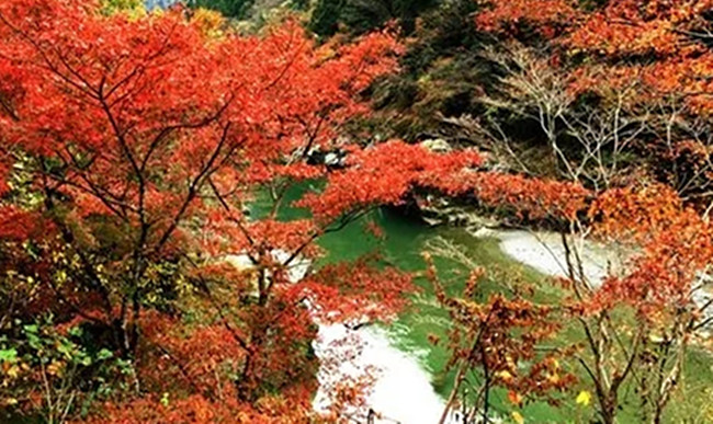 Embracing Autumn Adventures--The Company's Fantastic Autumn Outing