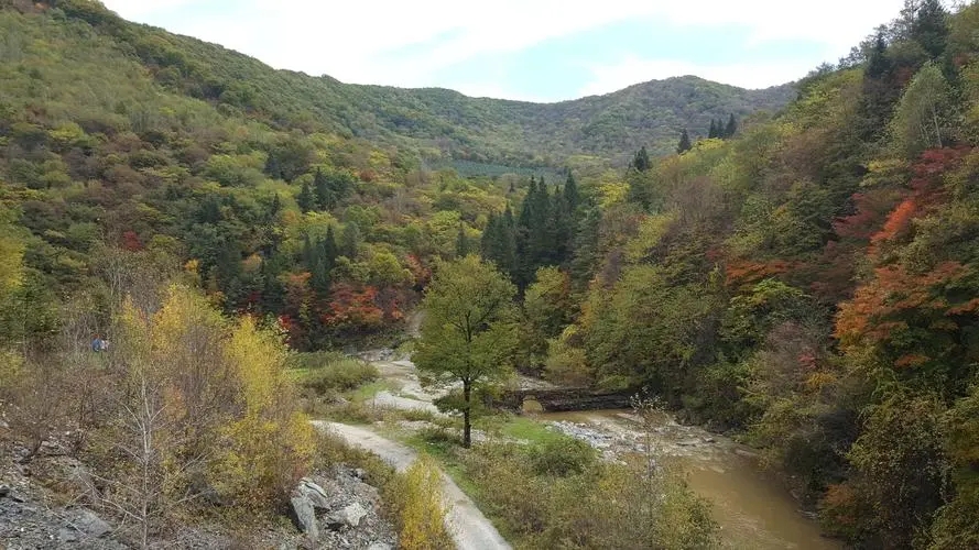  Autumn Outing