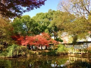  Autumn Outing