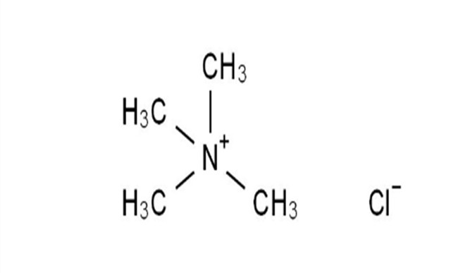 Brief Introduction of Tetramethyl Ammonium Chloride