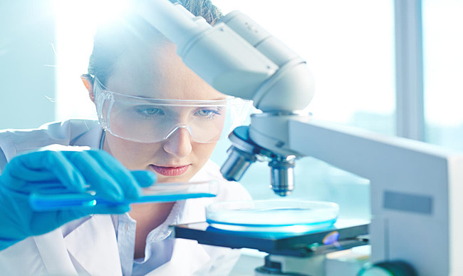 Applications of Cetyl dimethyl benzyl ammonium chloride