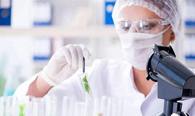 Tetramethyl ammonium hydroxide can be used as an etchant